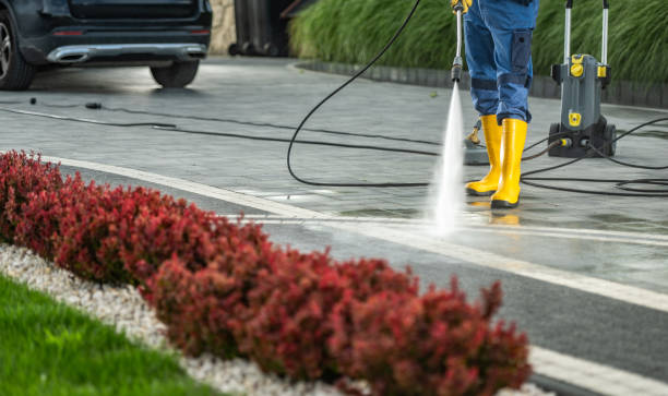 Best Animal Enclosure Cleaning  in Bensenvle, IL